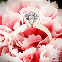 Classic 6 Prong Solitaire Engagement Ring