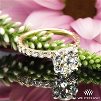 Custom Hidden Halo 3/4 Eternity Diamond Engagement Ring 