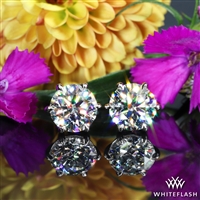 6 Prong Martini Diamond Earrings