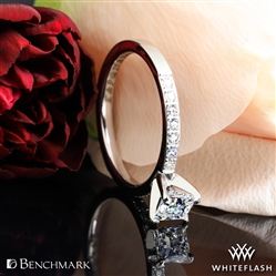 Whiteflash managed to put a big smile on our faces. I'm a happy customer.